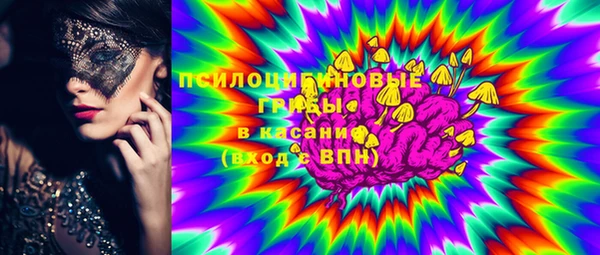 индика Белоозёрский