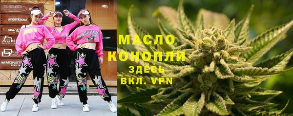 индика Белоозёрский