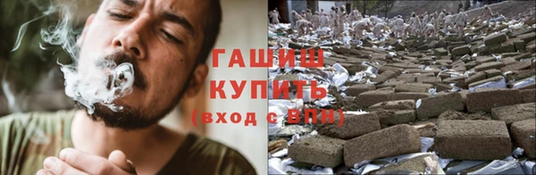 индика Белоозёрский