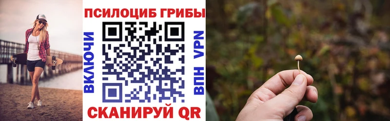 Псилоцибиновые грибы Psilocybine cubensis  Шуя 
