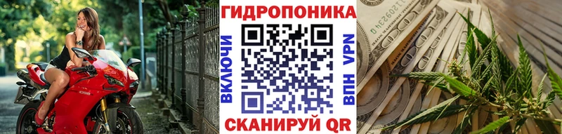 наркота Шуя Конопля OG Kush